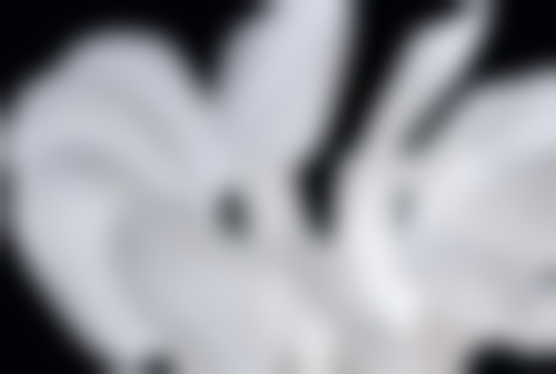 六、吴江邵新农丁月峰医生口碑评价及真人实例反馈