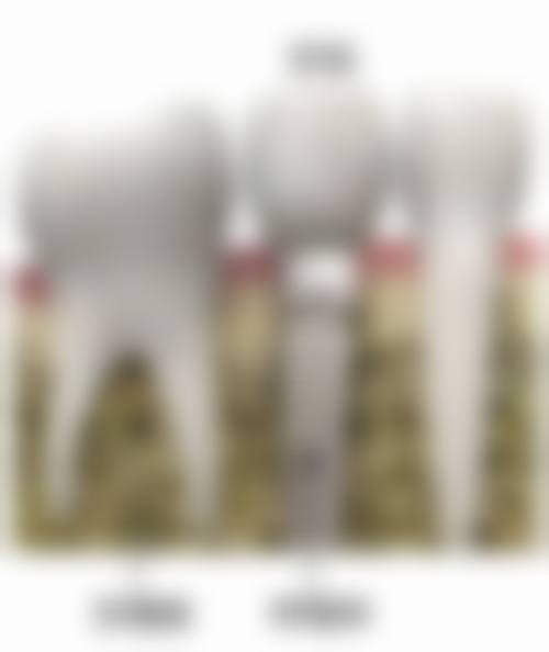 四、福建福州威斯登口腔（宝龙院）特色项目