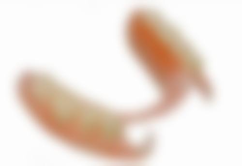 广州广大口腔（越秀）刘赤东医生擅长项目