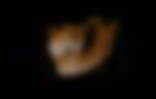 三、山东德州乐陵佳润口腔医生介绍