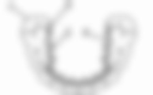 三、江西赣州阳之光口腔医院医生介绍