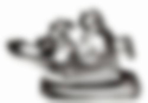 三、深圳格伦菲尔口腔（福田总店）医生介绍