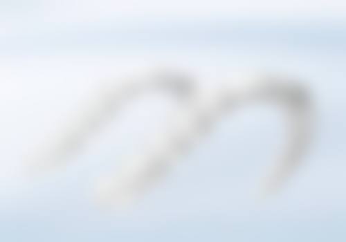 四、苏州华尔康口腔门诊部特色项目