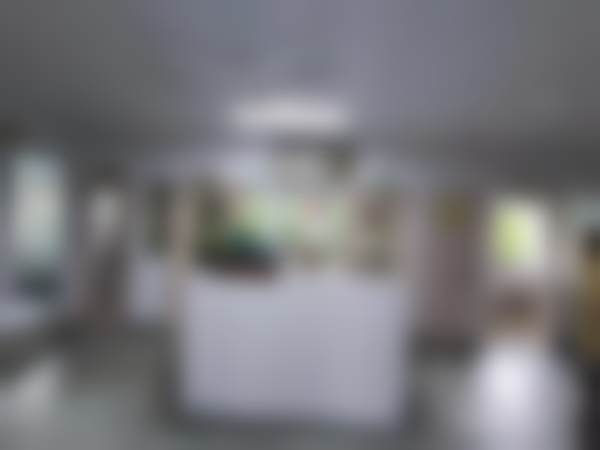 五、上海王道锦口腔诊所收费价格表