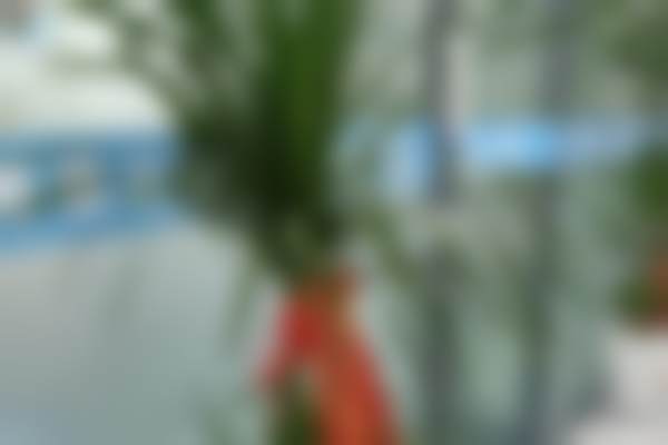 七、昆山博雅口腔门诊部地址电话及营业时间