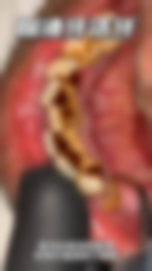 八、百大口腔门诊部怎么预约？