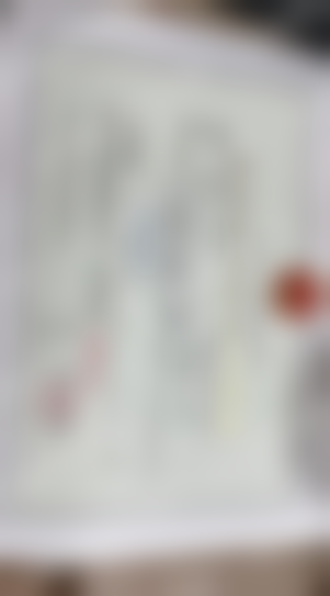 艾哈迈德·法维兹