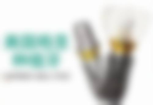 三、上海丽洁口腔邰怡医生资质信息