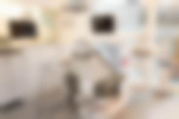 五、福州仓山海狸家口腔门诊部收费价格表