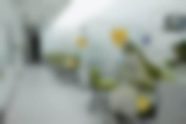 北京禾禾口腔门诊部做儿童窝沟封闭的医生优势