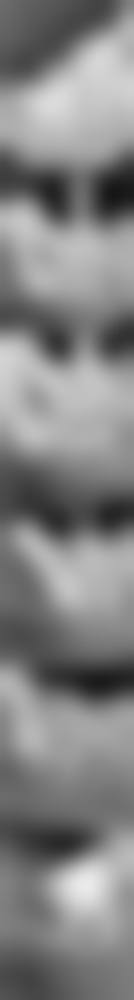 四、乌鲁木齐周杰口腔诊所特色项目