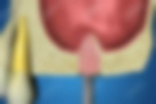 七、贵阳柏德口腔(世纪城)舒赫拉姆医生怎么预约？