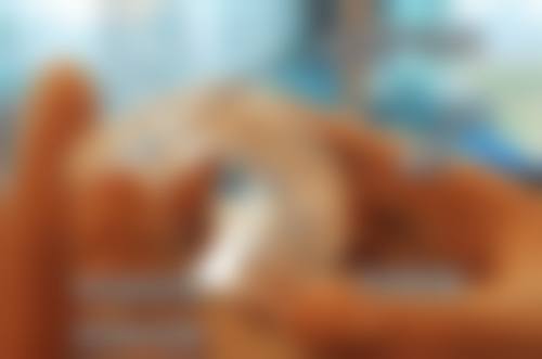 六、日照凯思口腔口碑如何？