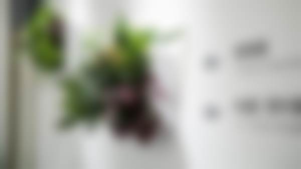 六、北京维乐口腔（花园路）吕丽霞医生口碑评价及真人实例反馈