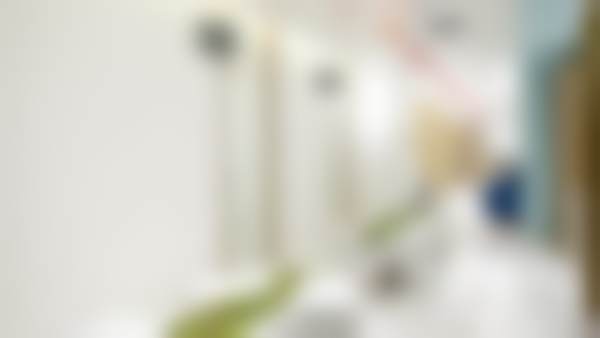 二、北京维乐口腔（花园路）吕丽霞医生擅长项目