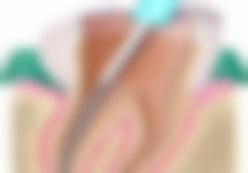 三、江西赣州阳之光口腔医生介绍