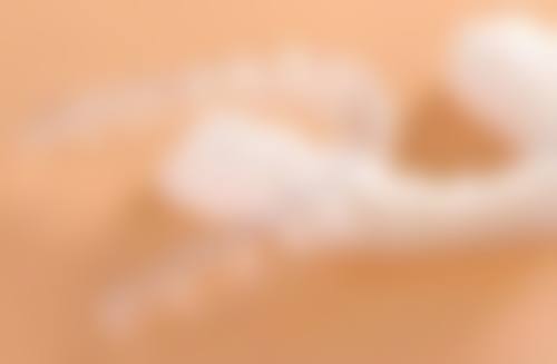 牙齿美白贴面的材料种类