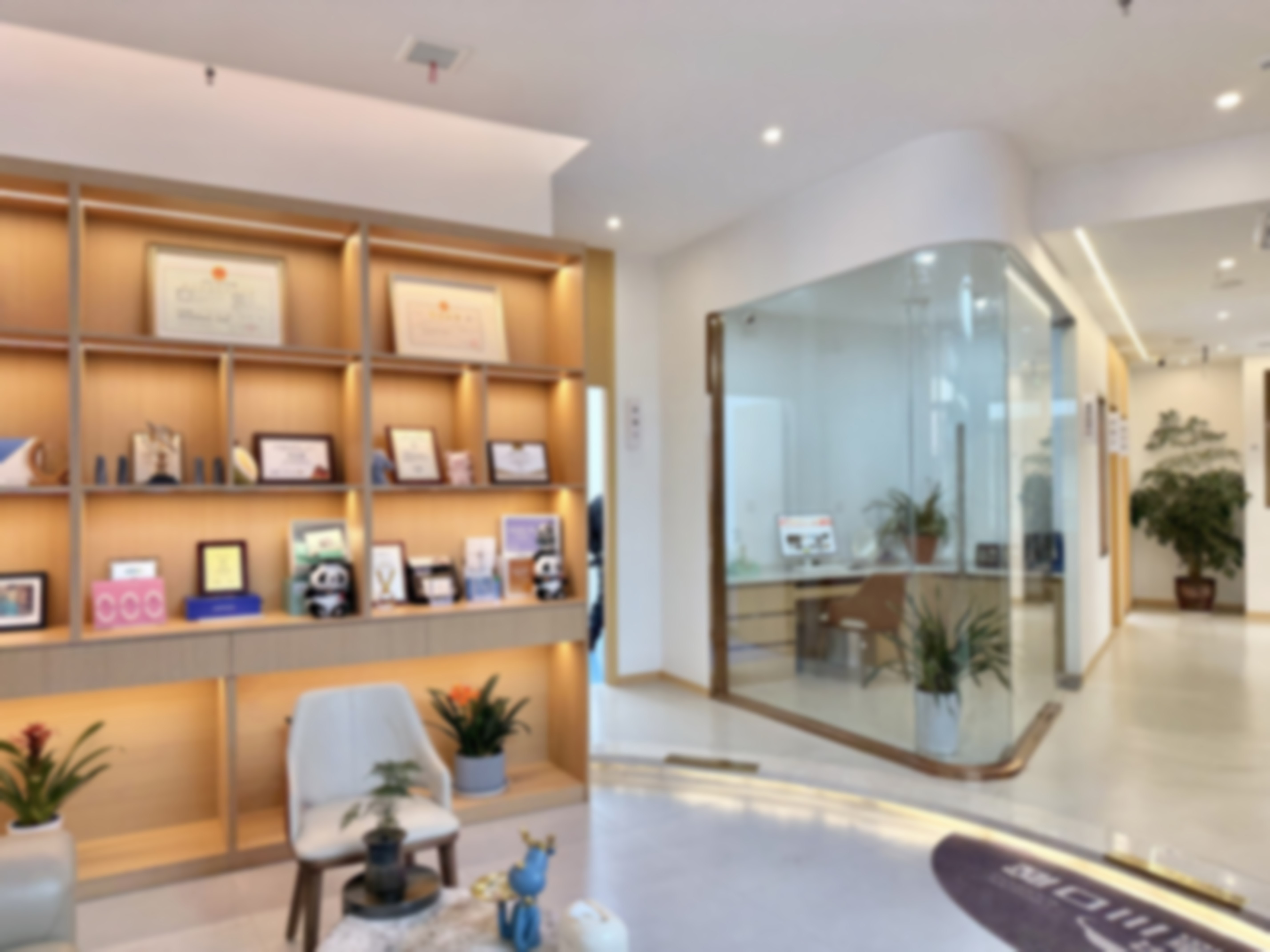 儿童早期干预矫正的价格及性价比