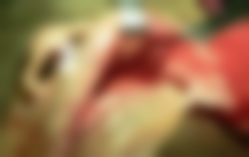 四、德州可恩口腔（德州口腔医院）特色项目