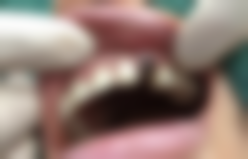 八、沪牙卫士口腔门诊部（圆融店）怎么预约？