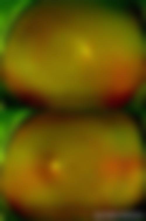 龙岩市第二医院眼科擅长项目