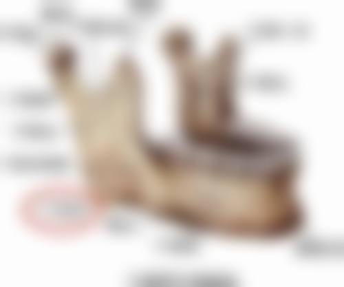 Vent Vert Clinic 高槻预约挂号方式。