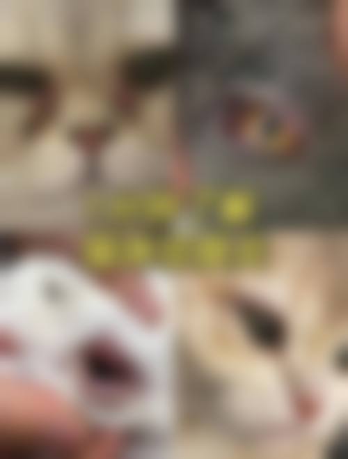 湘西土家族苗族自治州人民医院眼科治疗反馈与口碑评价。