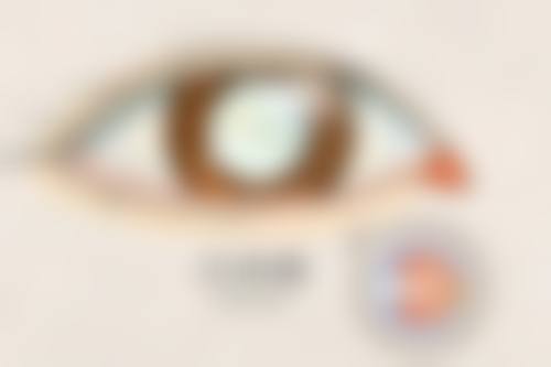 北京市垂杨柳医院眼科预约方式