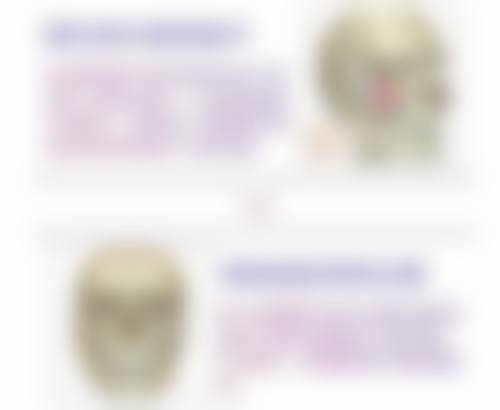 柳锡铉擅长项目介绍
