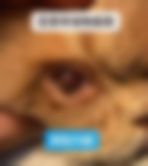 宿迁泗洪朝聚眼科医院治疗反馈与口碑评价。
