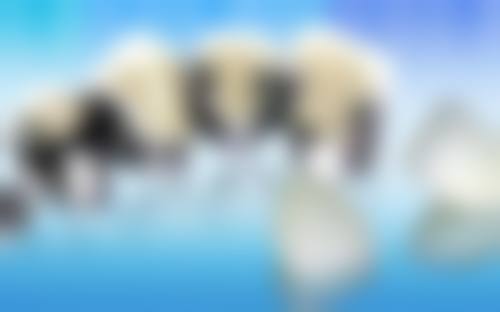 三、洛阳市妇幼保健院口腔科医生介绍