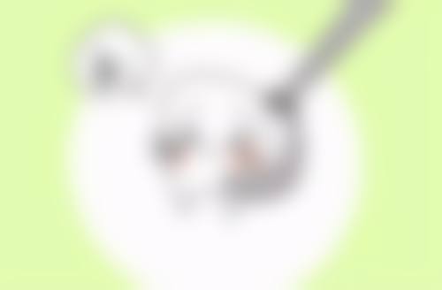 郑斌医生擅长项目