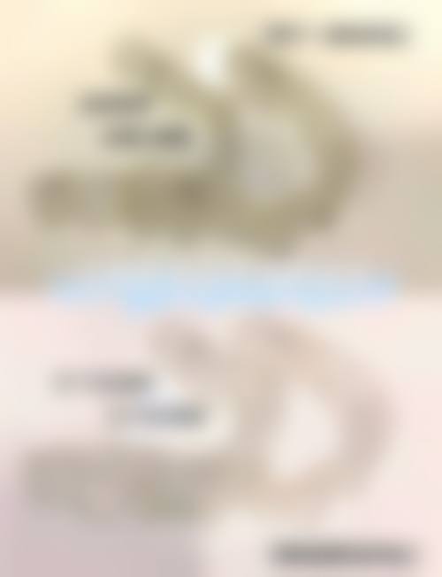 上海范博口腔门诊部的乘车路线