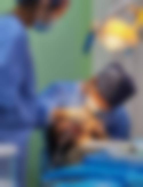 五、咸阳杨凌张超口腔诊所收费价格表
