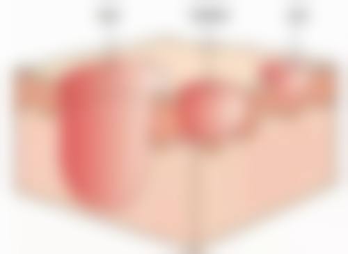 厦门新开元医疗美容门诊部预约挂号方式。