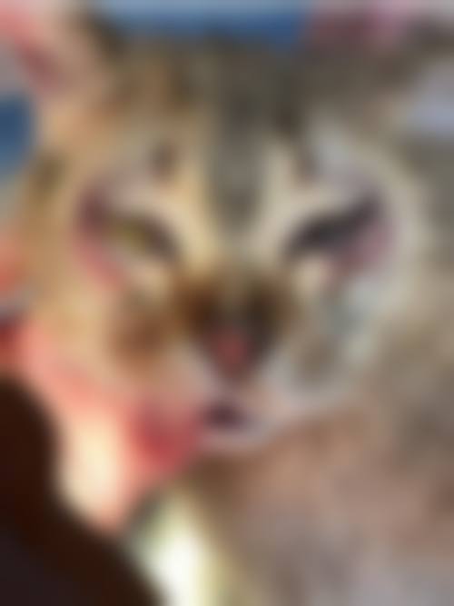 玉溪艾维（华 山）眼科医院门诊营业时间。