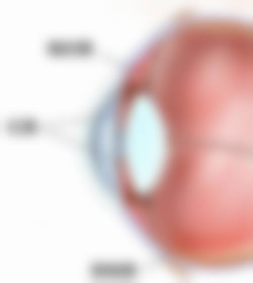 辽宁省精神卫生中 心眼科擅长项目。
