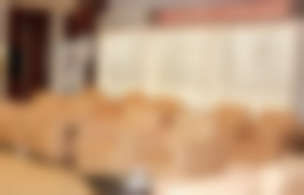 擅长项目详解