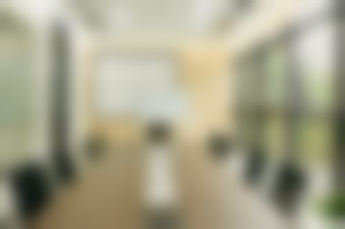 擅长项目详解