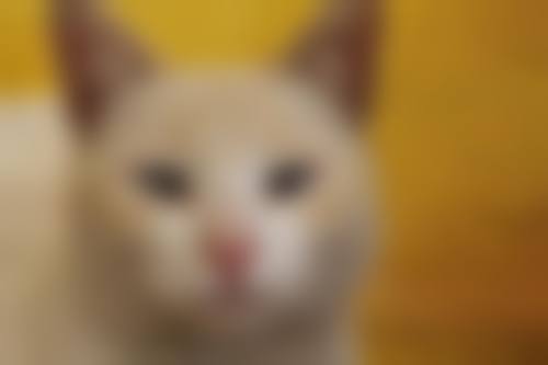成都锦江铭依眼科门诊部门诊营业时间。