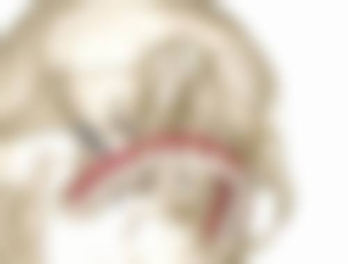 优惠活动详情——多项口腔项目惠民价格