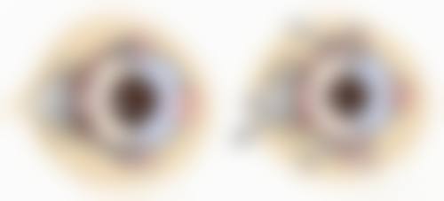 常见问题解答