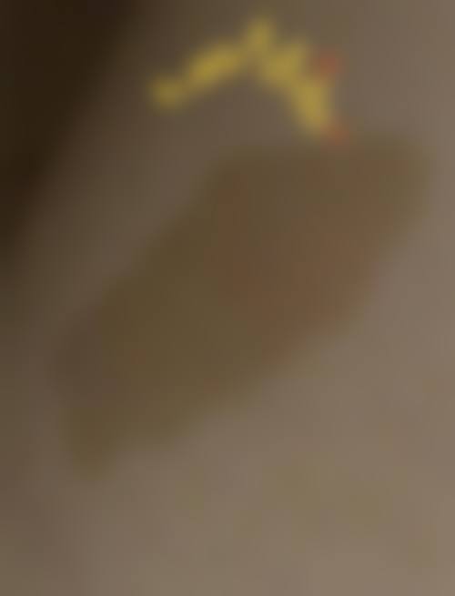 诊疗特色总结