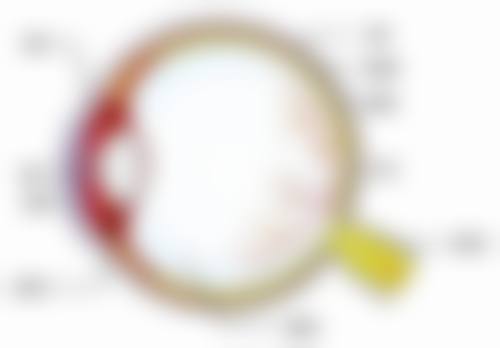 优惠活动详情:限时补贴,到院即享