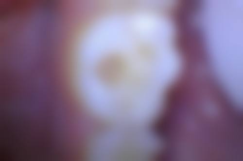 服务流程与患者保护