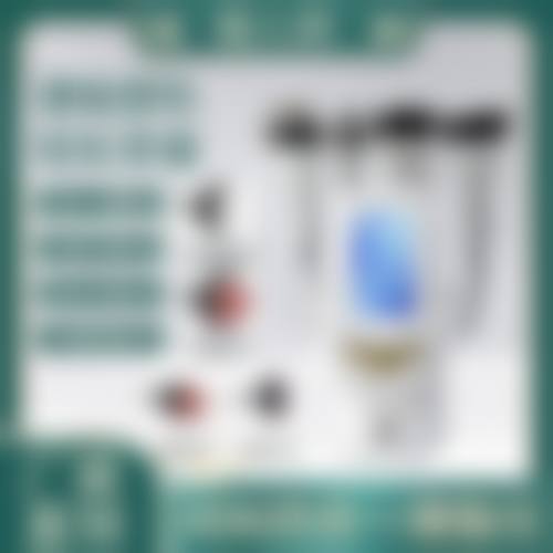 擅长项目详解