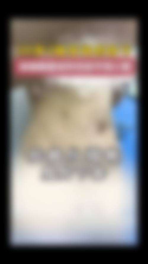 擅长项目详解