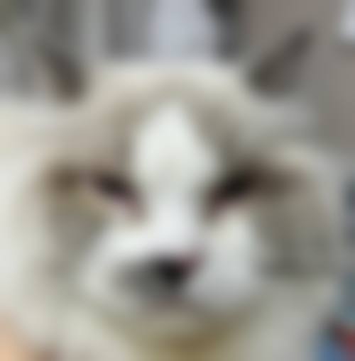 服务流程与患者保护:贴心呵护每一次就诊