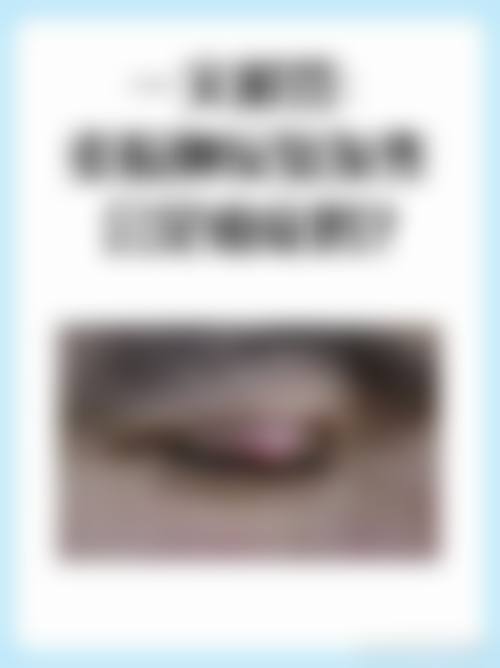 特色科室与项目:全眼病覆盖,精细诊疗