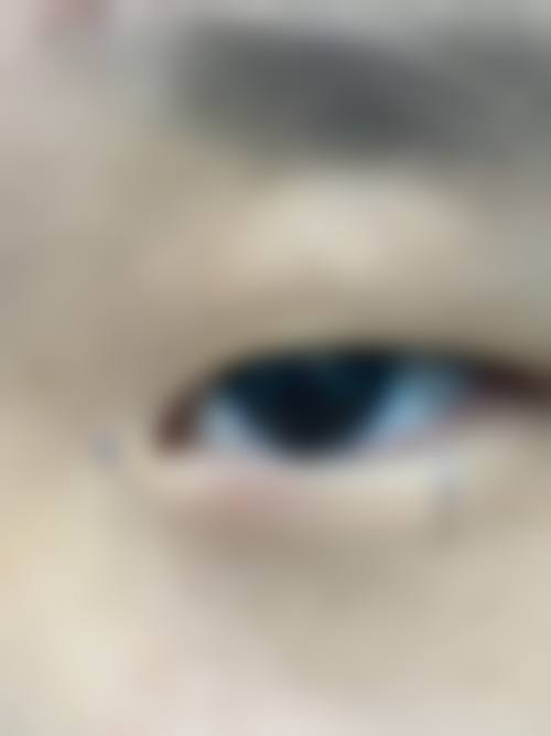 预约优惠活动